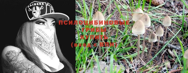 тгк Бугульма