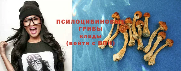 тгк Бугульма