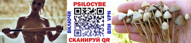 Псилоцибиновые грибы MAGIC MUSHROOMS  купить наркотик  Прокопьевск 