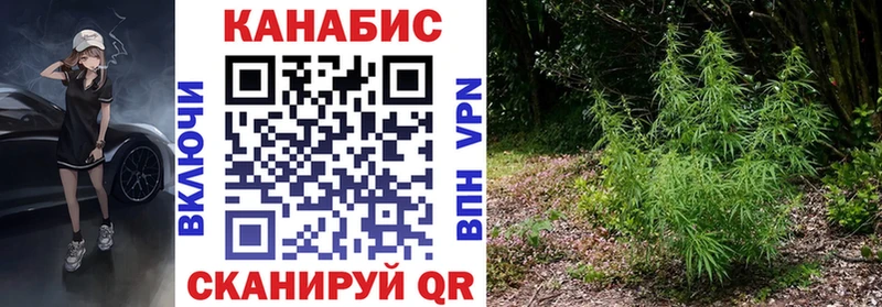 наркота  Прокопьевск  Шишки марихуана планчик 